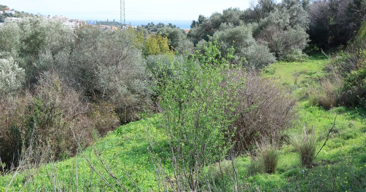 Residential Plot in Mijas, Mijas, 8/12