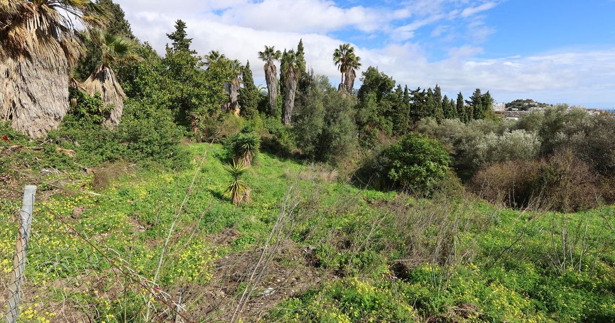 Residential Plot in Mijas, Mijas, 10/12