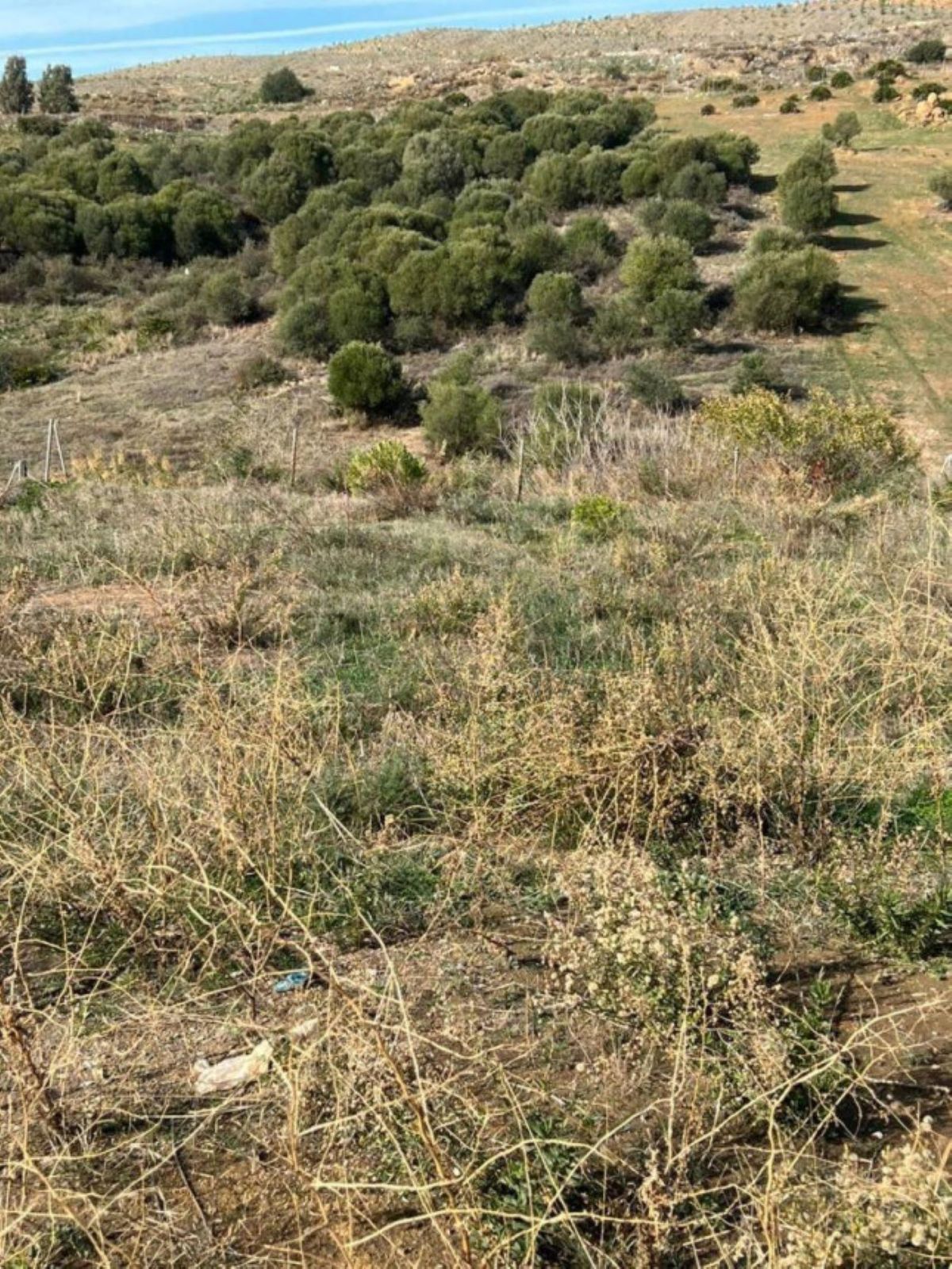 Terrain Résidentiel à Guadalmina Alta, Guadalmina Alta, 6/6