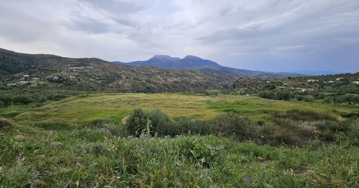 Mark i Tolox, Tolox, 5/9