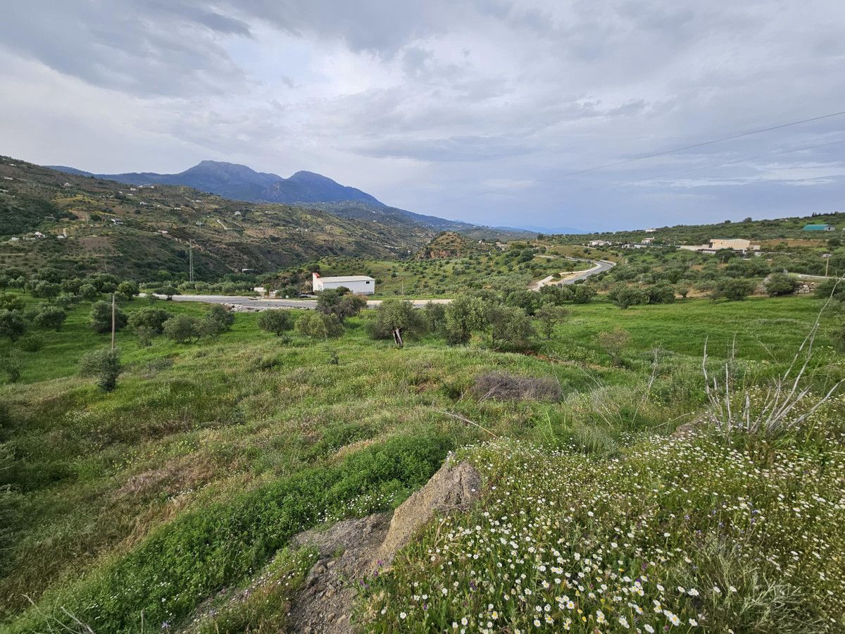 Mark i Tolox, Tolox, 7/9