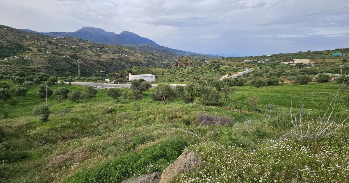 Mark i Tolox, Tolox, 7/9
