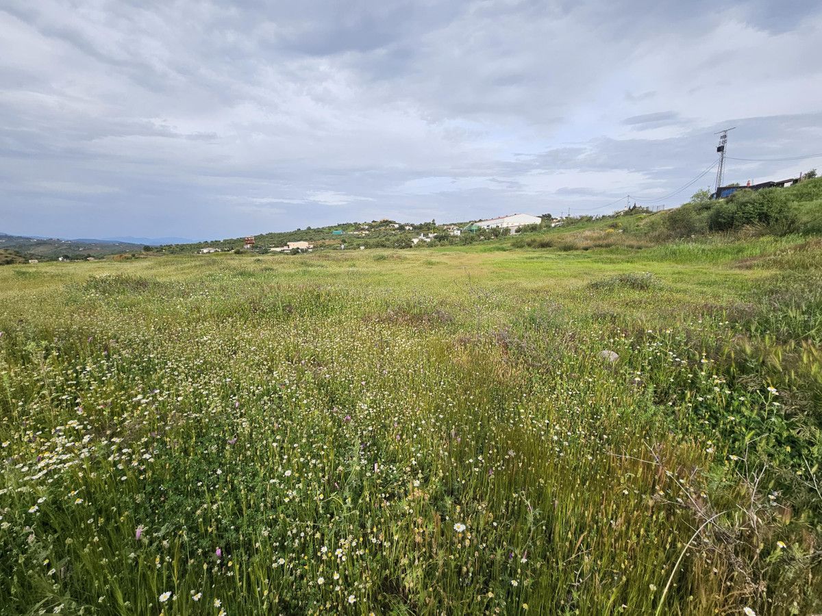 Mark i Tolox, Tolox, 8/9