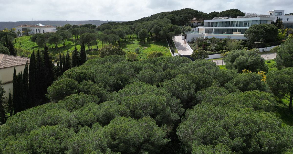 Wohngrundstück in Sotogrande, Sotogrande, 10/12