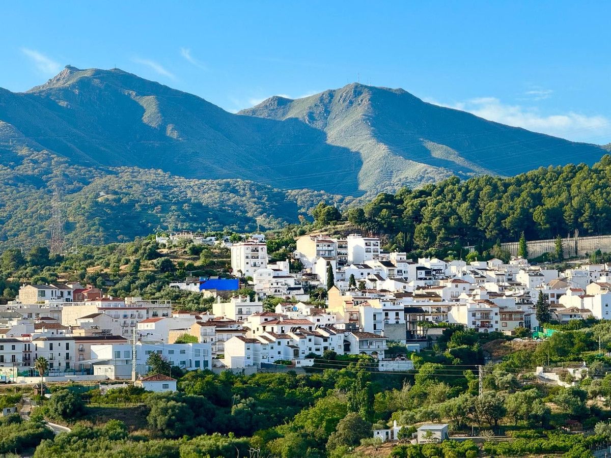 Detached Villa in Monda, Monda, 2/12