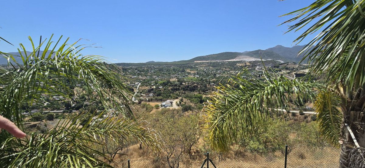 Finca - Cortijo i Coín, Coín, 7/12
