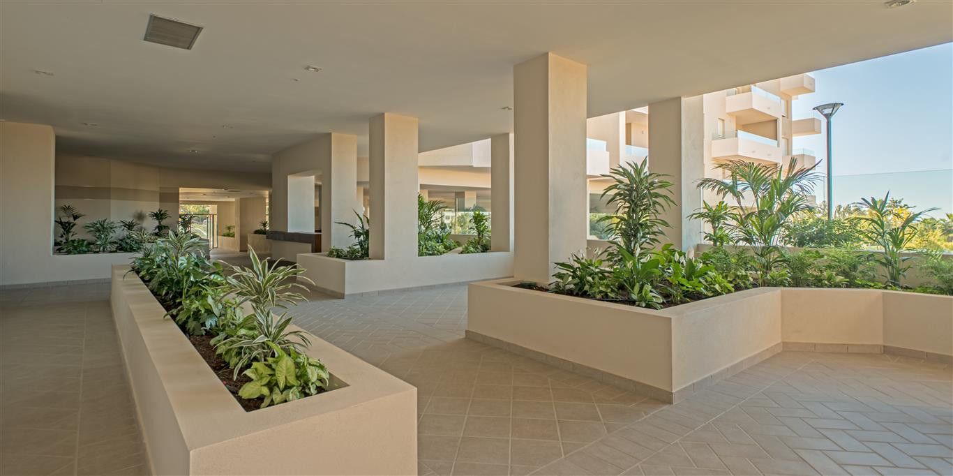 Apartment in Nueva Andalucia, La Campana, Nueva Andalucia, 3/12