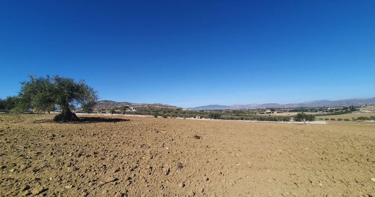 Land in Alhaurín el Grande, Alhaurín el Grande, 11/12