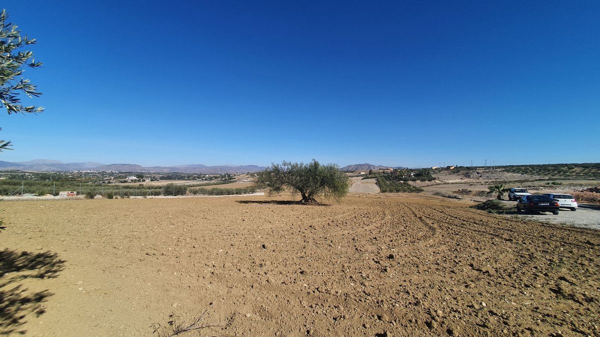 Land in Alhaurín el Grande, Alhaurín el Grande, 6/12