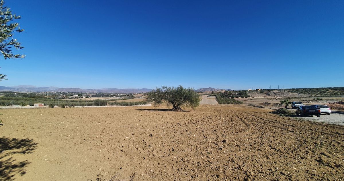 Land in Alhaurín el Grande, Alhaurín el Grande, 6/12