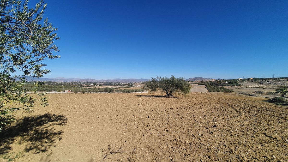 Land in Alhaurín el Grande, Alhaurín el Grande, 7/12