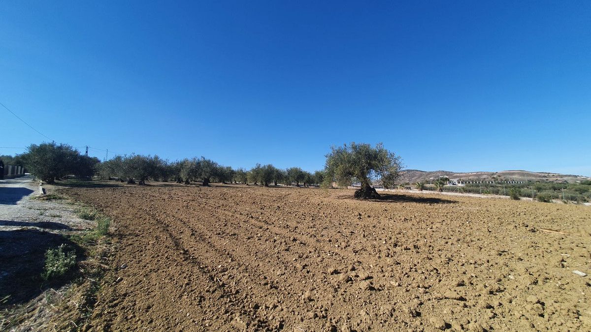 Land in Alhaurín el Grande, Alhaurín el Grande, 9/12