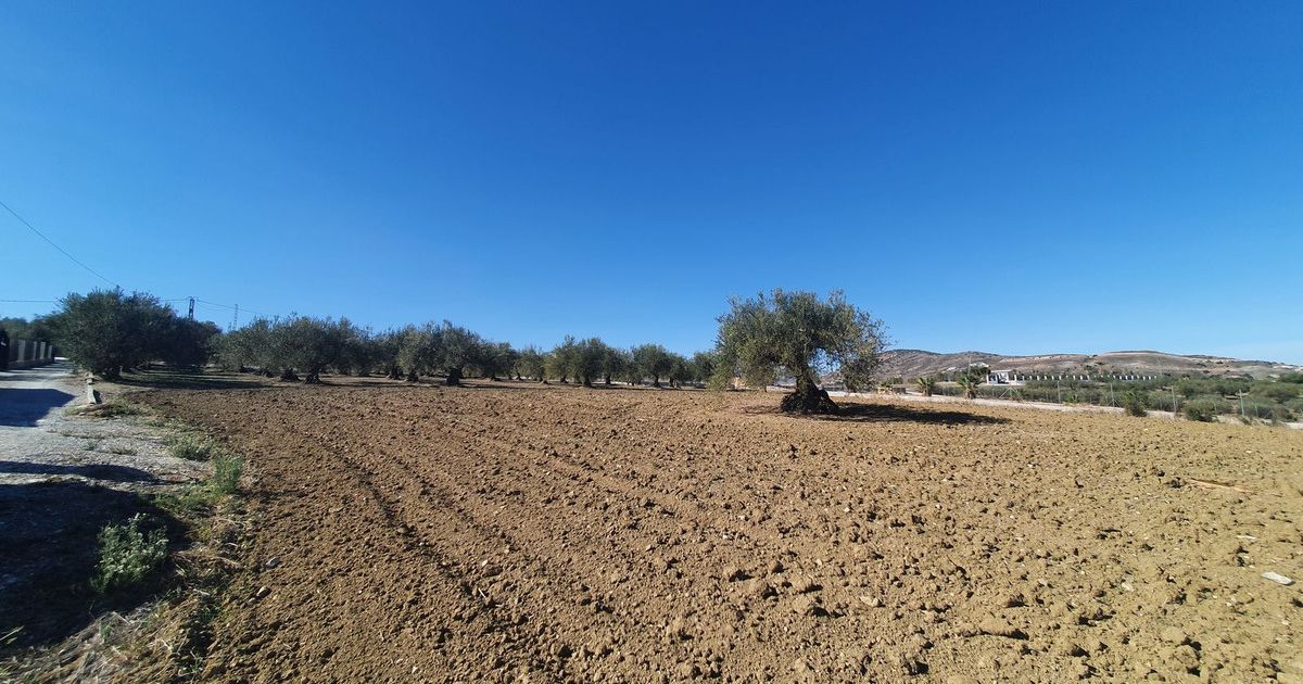 Land in Alhaurín el Grande, Alhaurín el Grande, 9/12