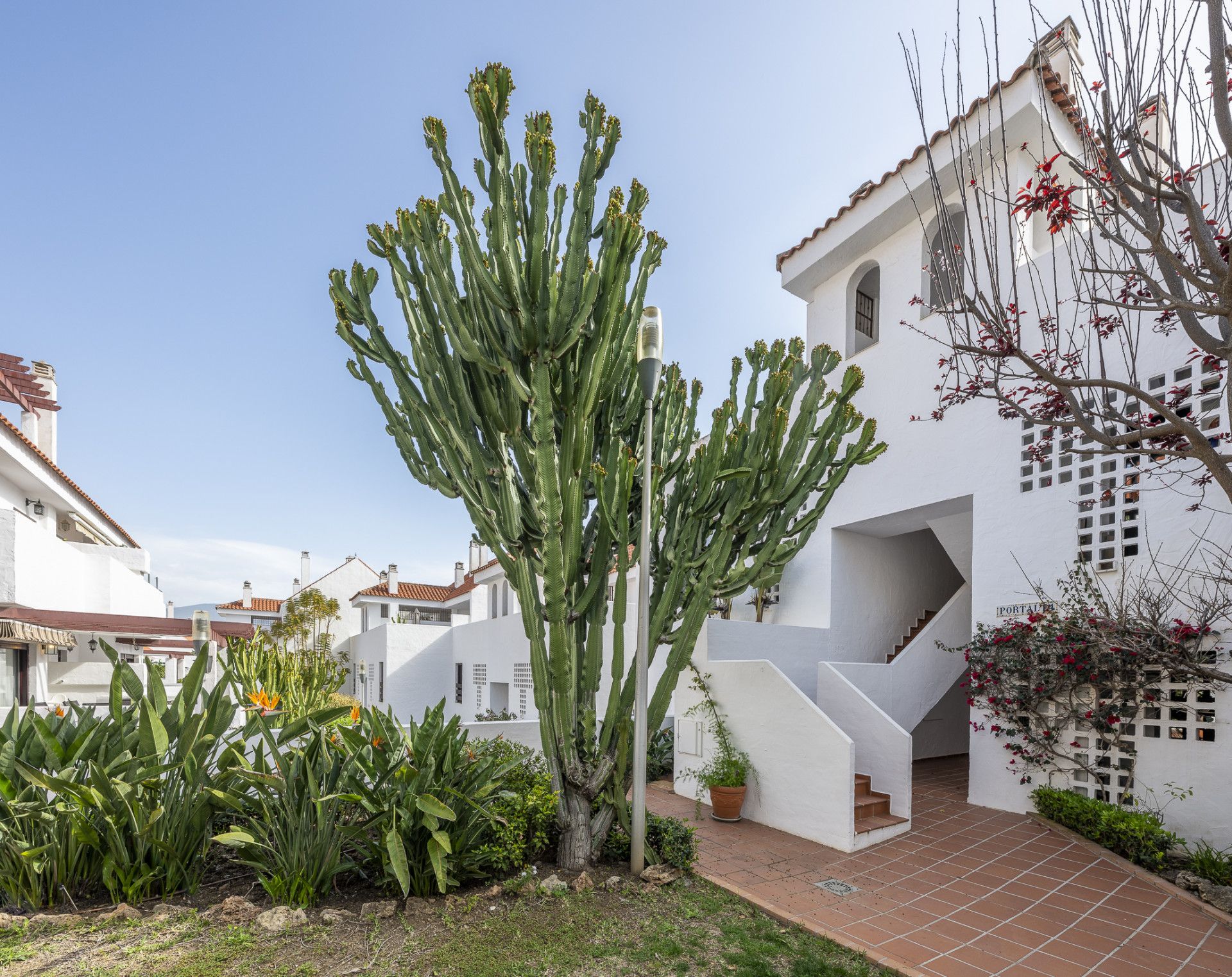 Apartamento en Nueva Andalucia, La Maestranza, Nueva Andalucia, 11/12
