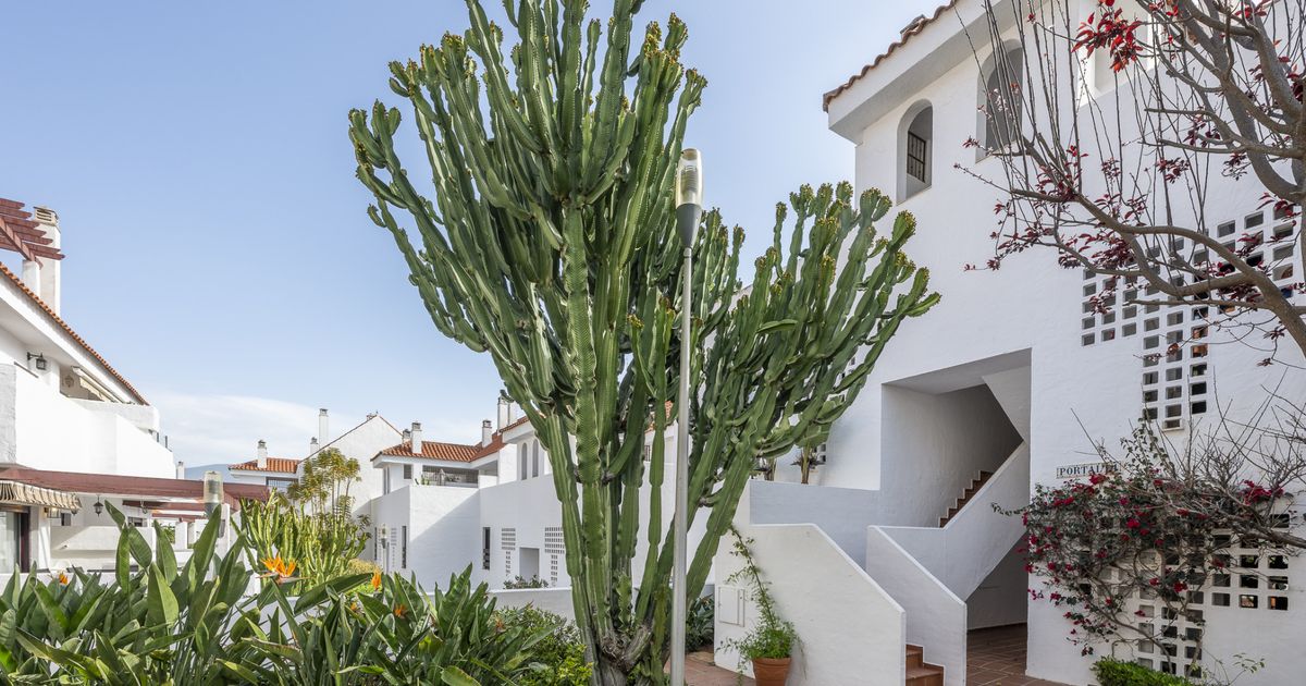 Apartamento en Nueva Andalucia, La Maestranza, Nueva Andalucia, 11/12