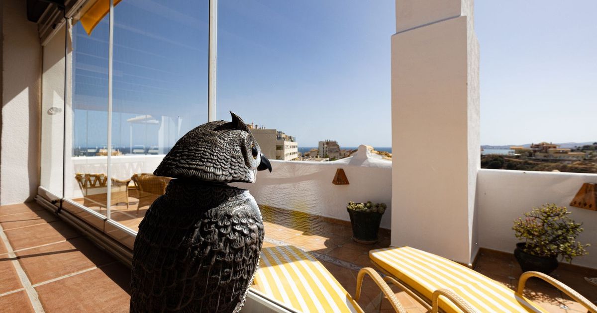 Penthouse in Torrequebrada, Torrequebrada, 12/12