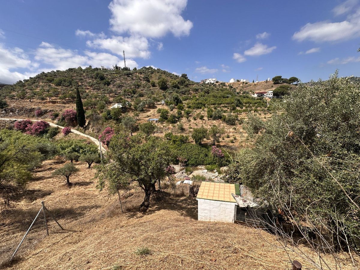 Finca - Cortijo in Monda, Monda, 11/12