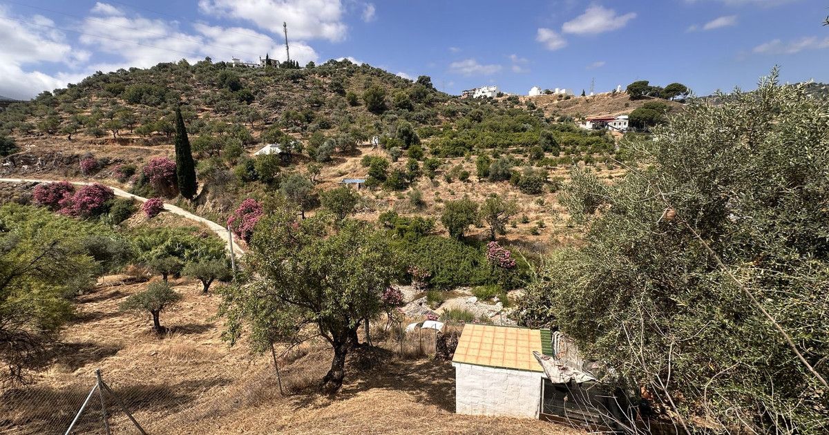 Finca - Cortijo in Monda, Monda, 11/12