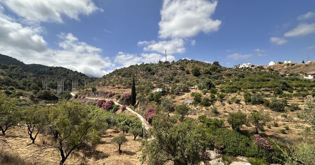 Finca - Cortijo in Monda, Monda, 9/12