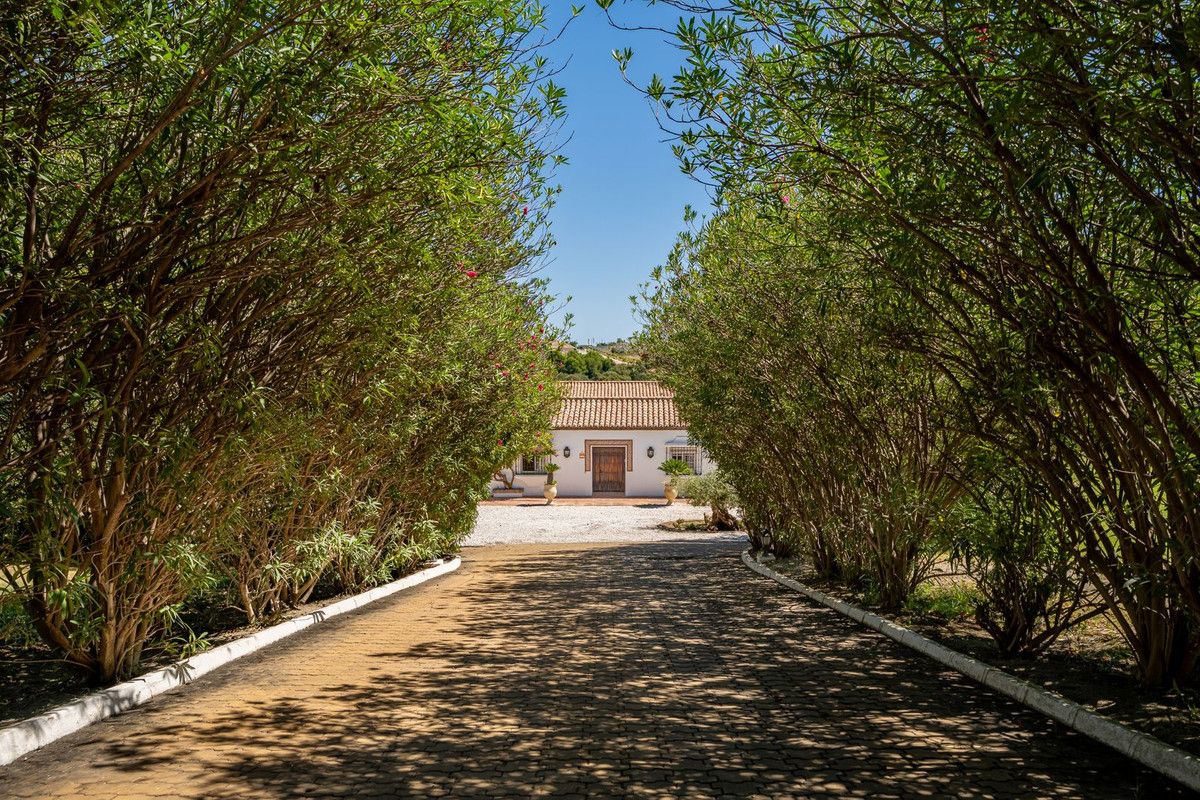 Finca - Cortijo in Cancelada, Cancelada, 3/12