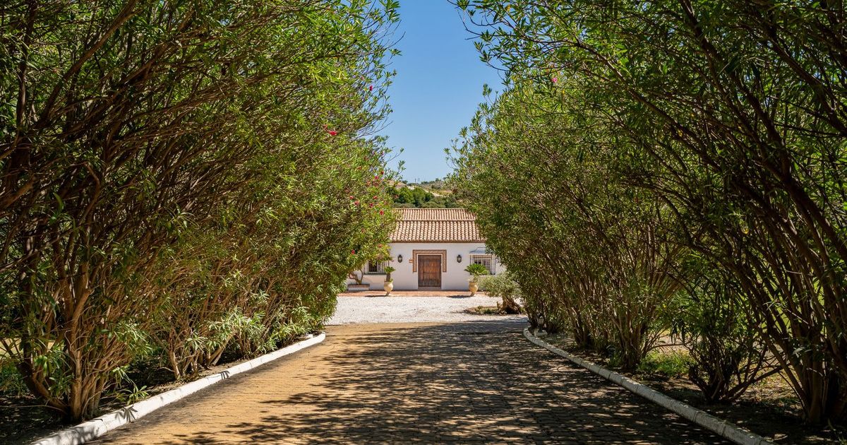 Finca - Cortijo in Cancelada, Cancelada, 3/12