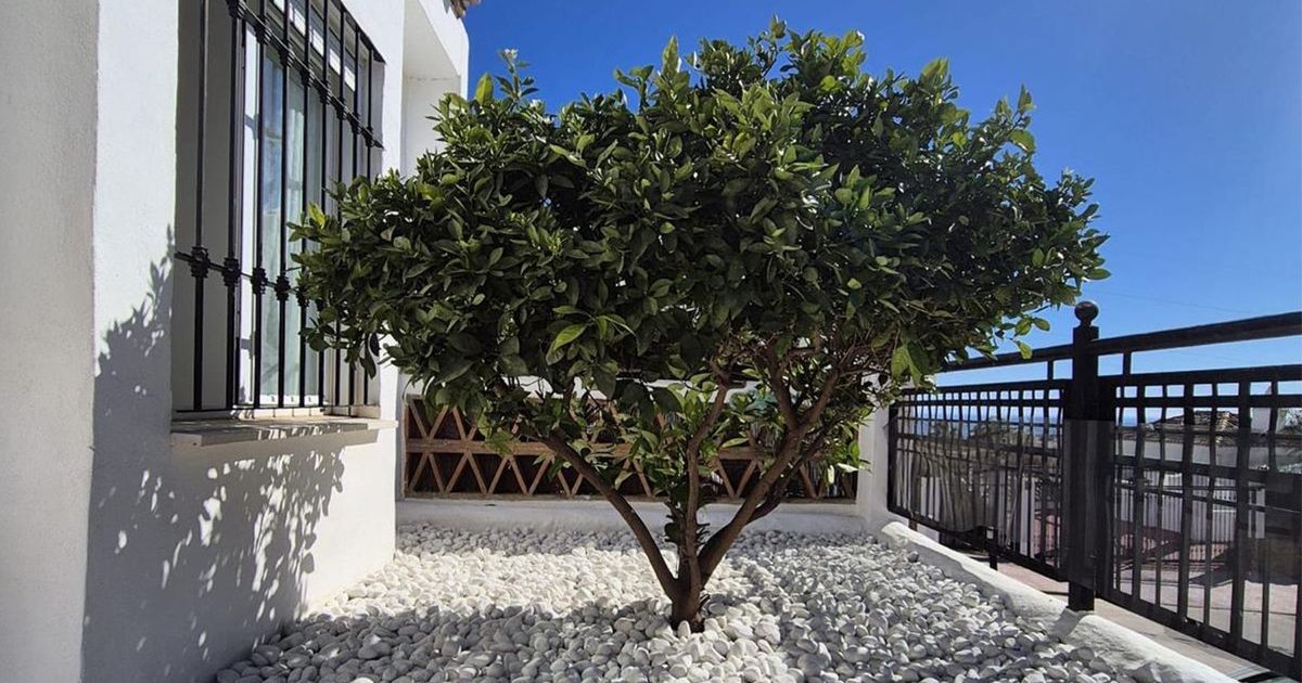 Apartament na parterze w Benalmádena, Benalmadena, 3/12
