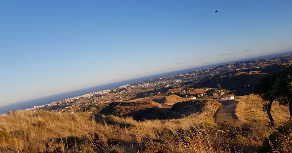 Mark i Valtocado, Valtocado, 2/11