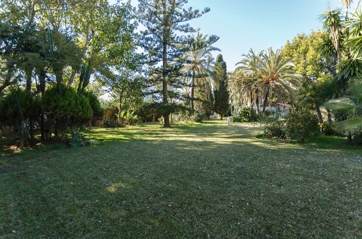 Detached Villa in Guadalmina Baja, Guadalmina Baja, 5/6