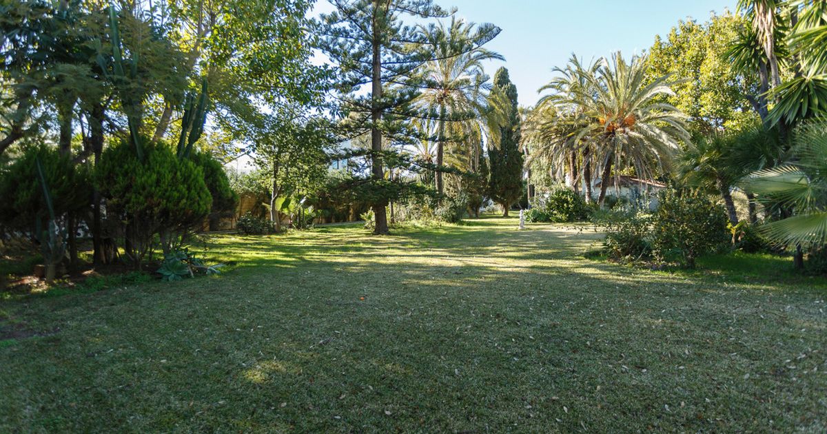 Detached Villa in Guadalmina Baja, Guadalmina Baja, 5/6