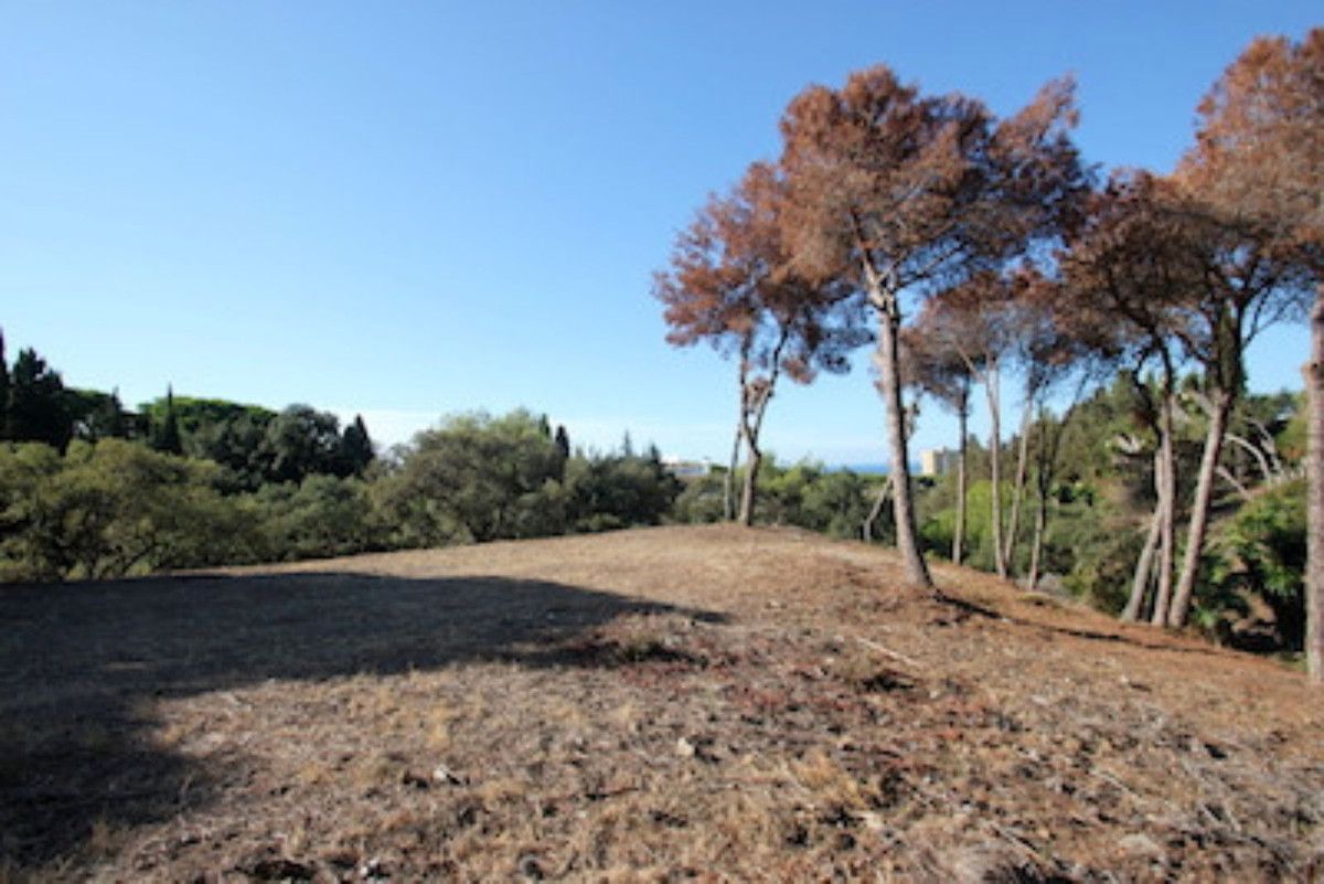 Residential Plot in Hacienda Las Chapas, Hacienda Las Chapas, 4/12