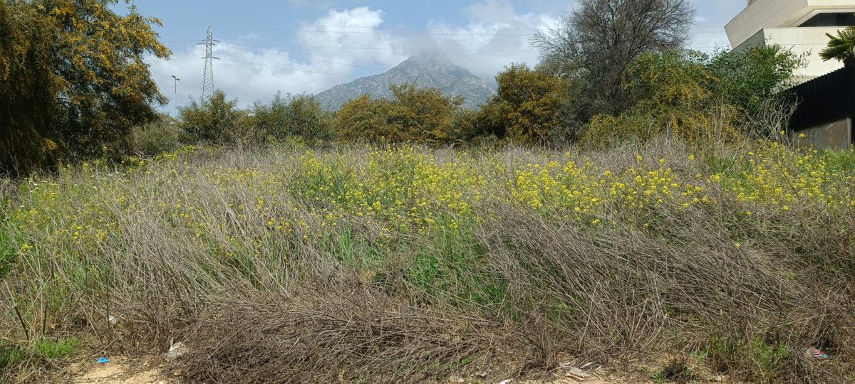 Residential Plot in The Golden Mile, The Golden Mile, 3/5
