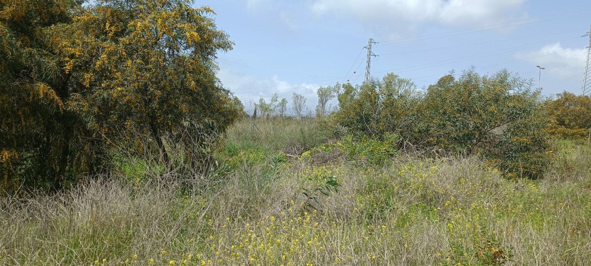 Residential Plot in The Golden Mile, The Golden Mile, 4/5