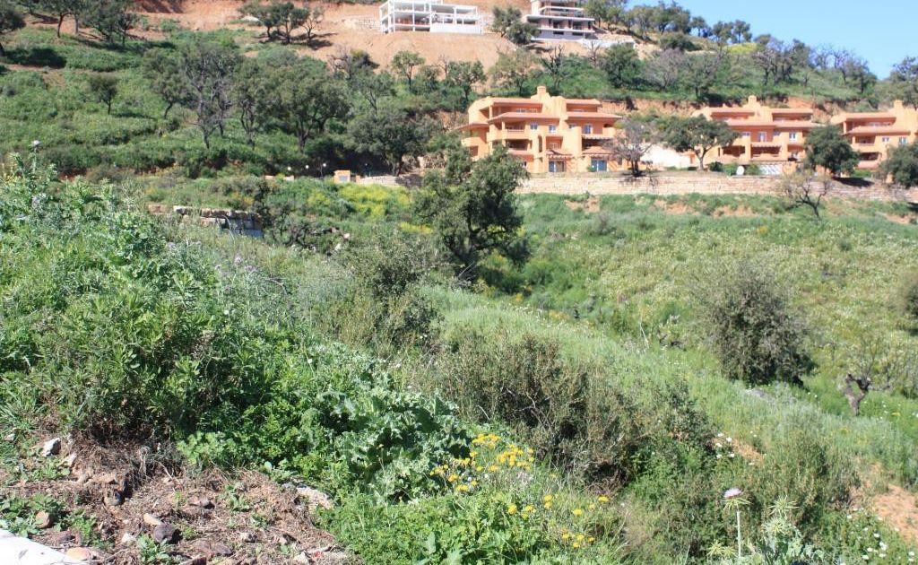 Residential Plot in La Mairena, La Mairena, 6/12