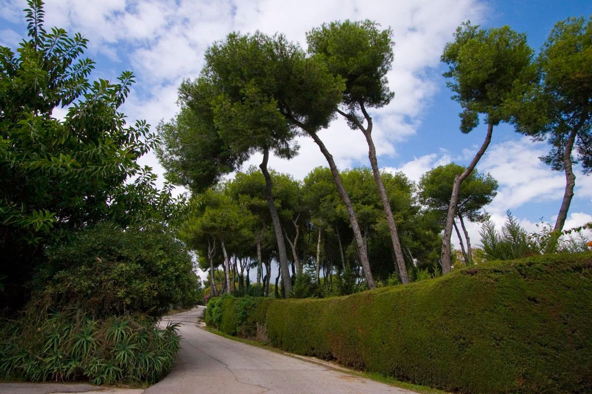 Residential Plot in La Mairena, La Mairena, 7/12