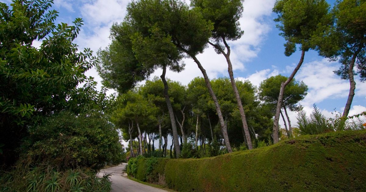 Residential Plot in La Mairena, La Mairena, 7/12