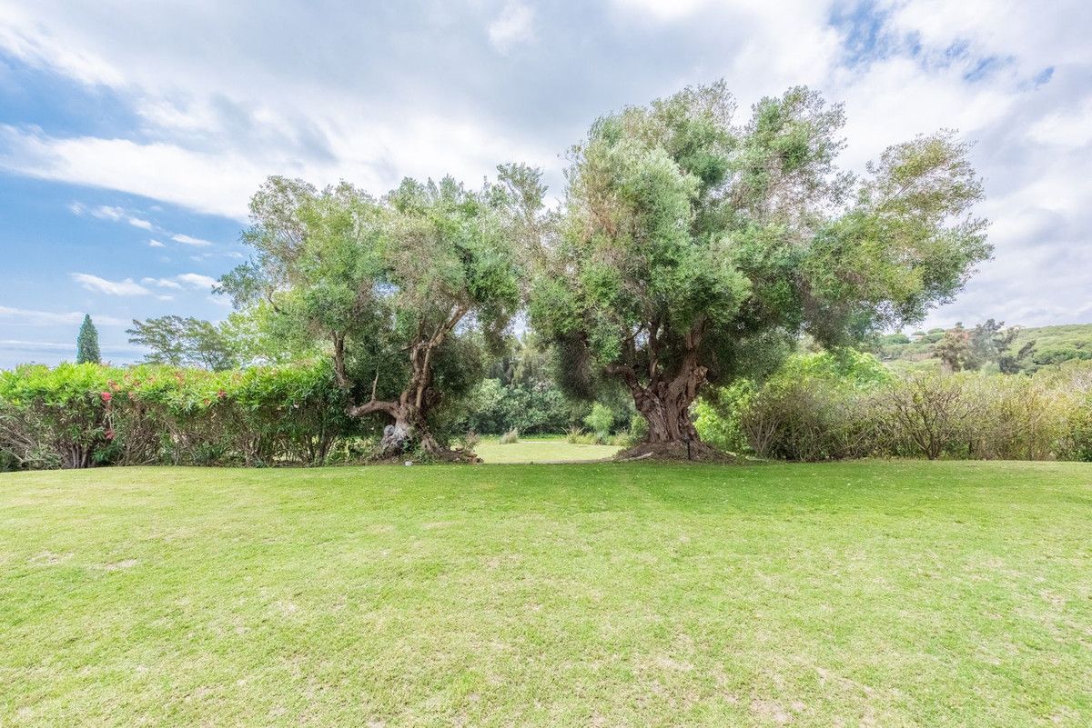Vrijstaande Villa in Sotogrande Alto, Sotogrande Alto, 2/12