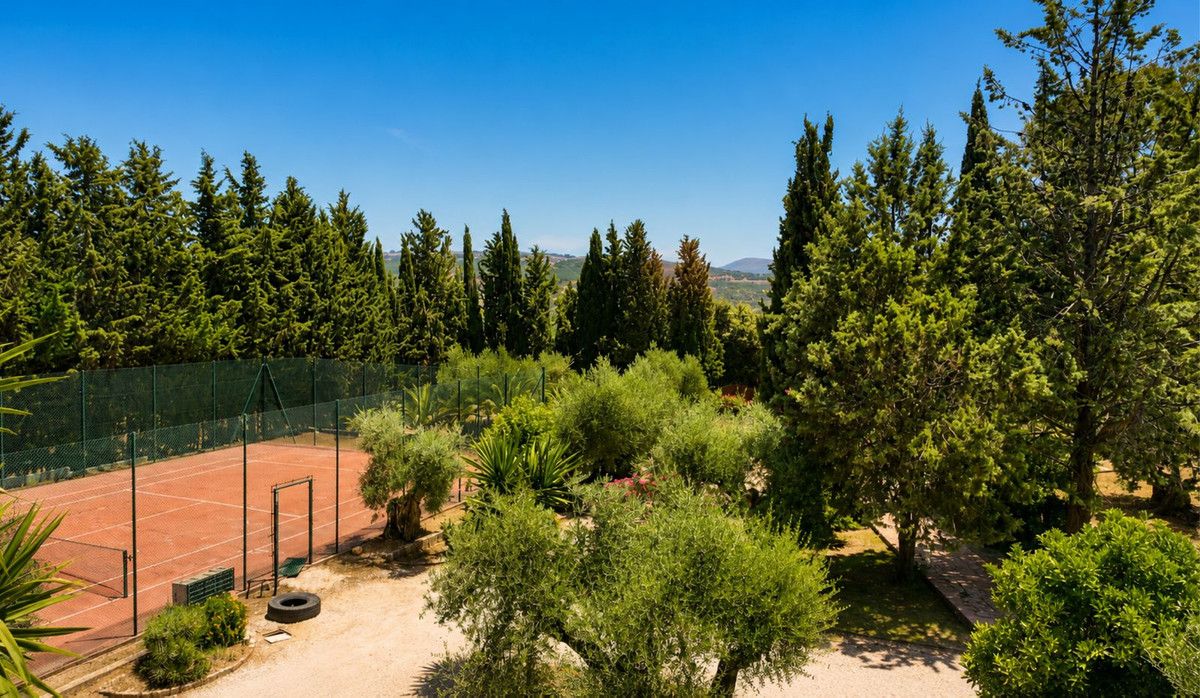 Finca - Cortijo in Ronda, Ronda, 3/12