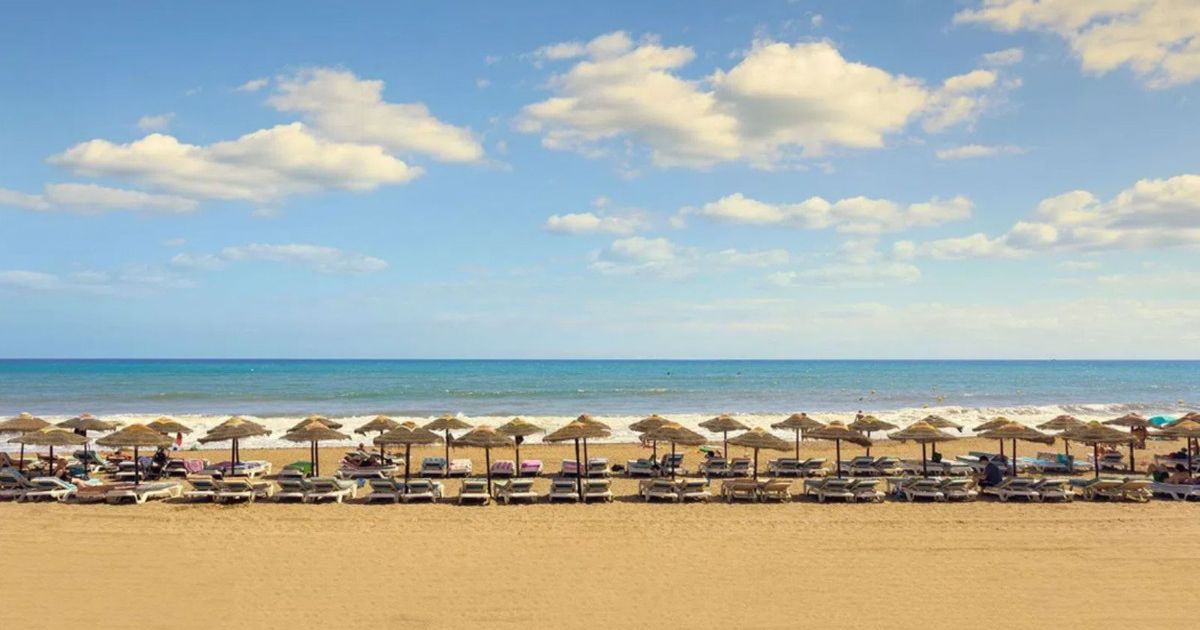 Ground Floor Apartment in Estepona, Estepona, 3/12