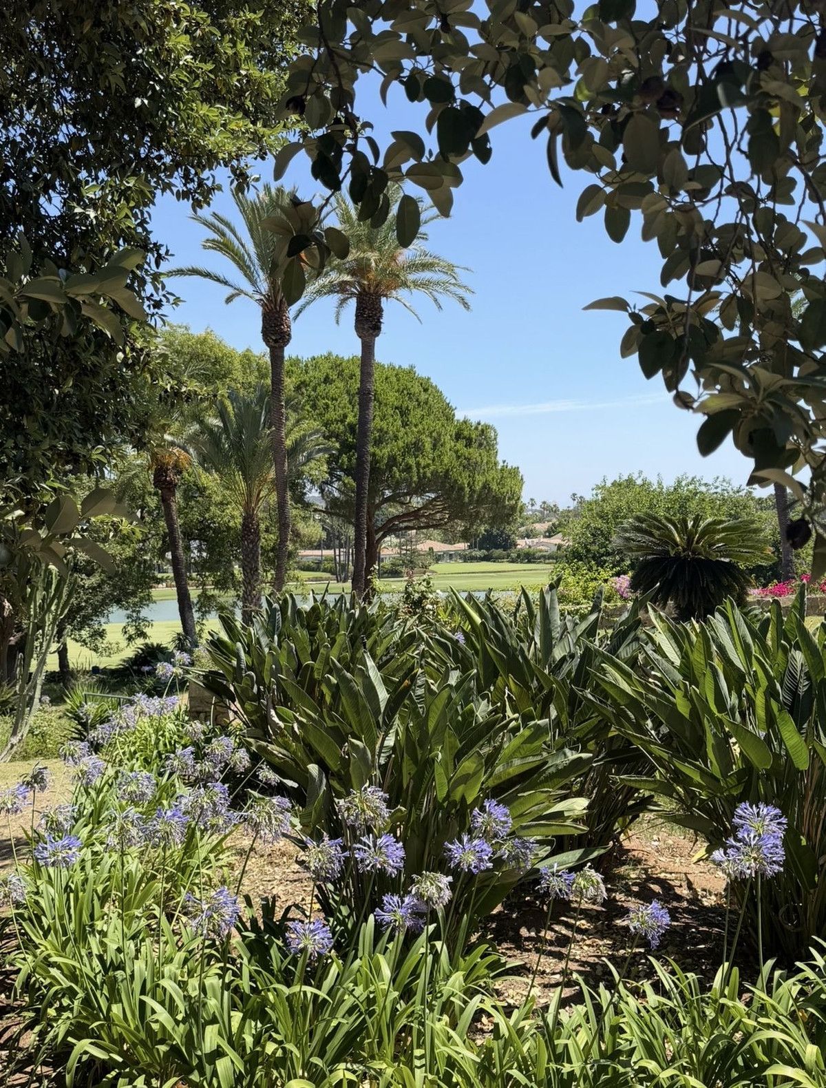 Detached Villa in Sotogrande Costa, Sotogrande Costa, 3/12