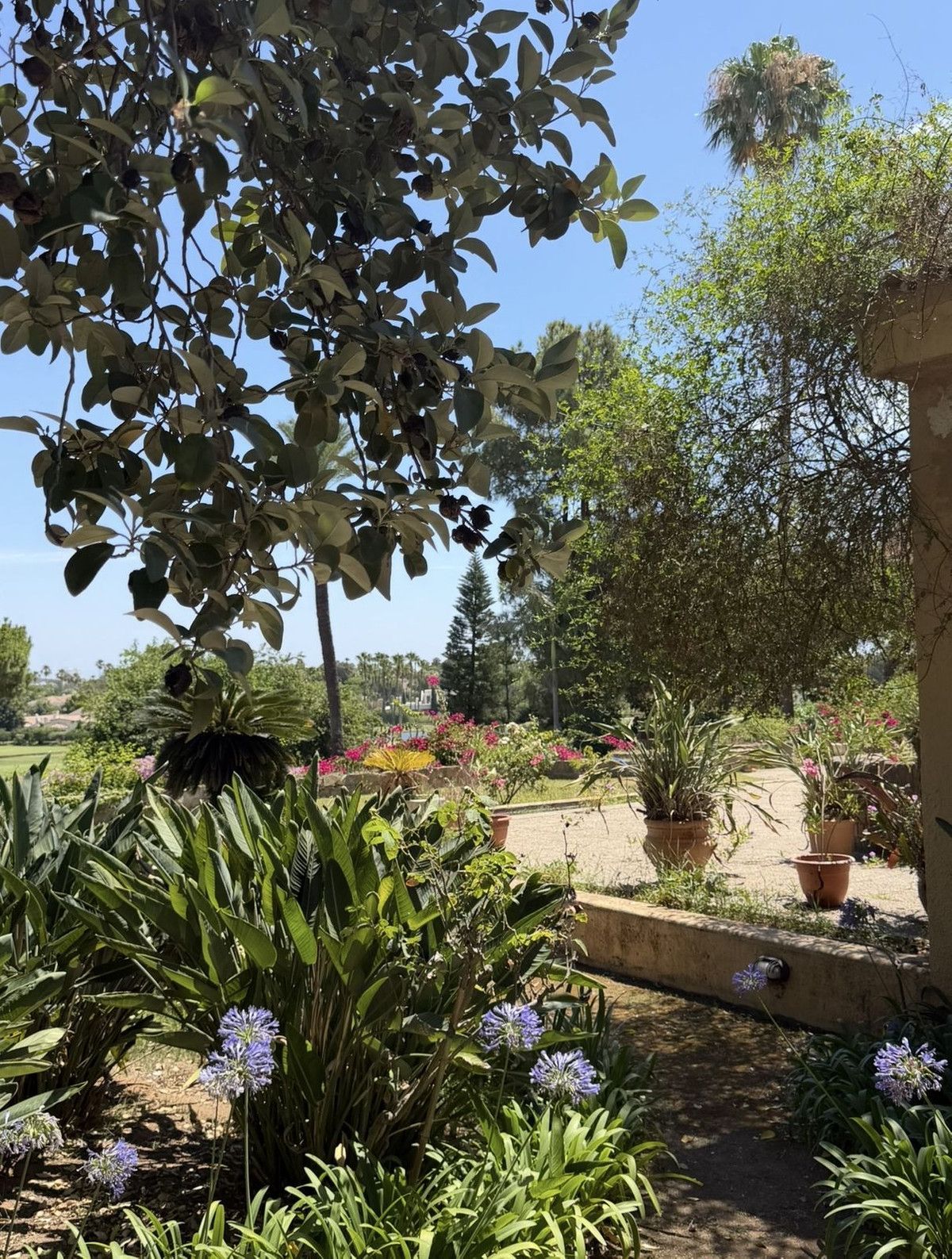 Detached Villa in Sotogrande Costa, Sotogrande Costa, 4/12