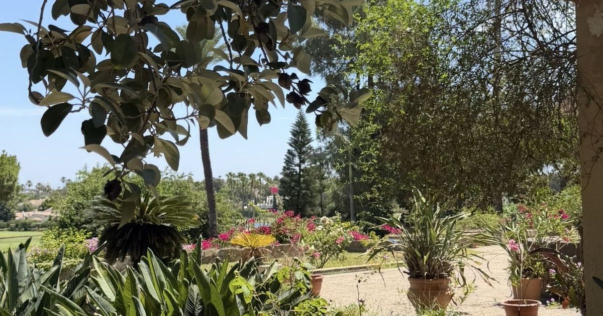 Detached Villa in Sotogrande Costa, Sotogrande Costa, 4/12