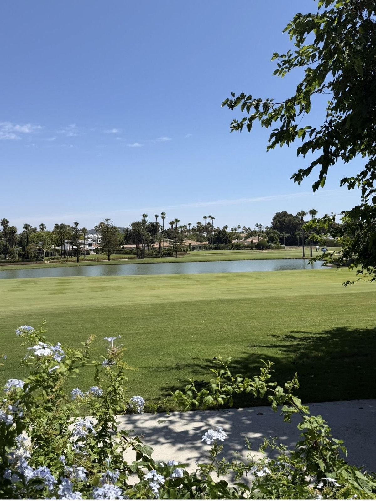 Detached Villa in Sotogrande Costa, Sotogrande Costa, 8/12