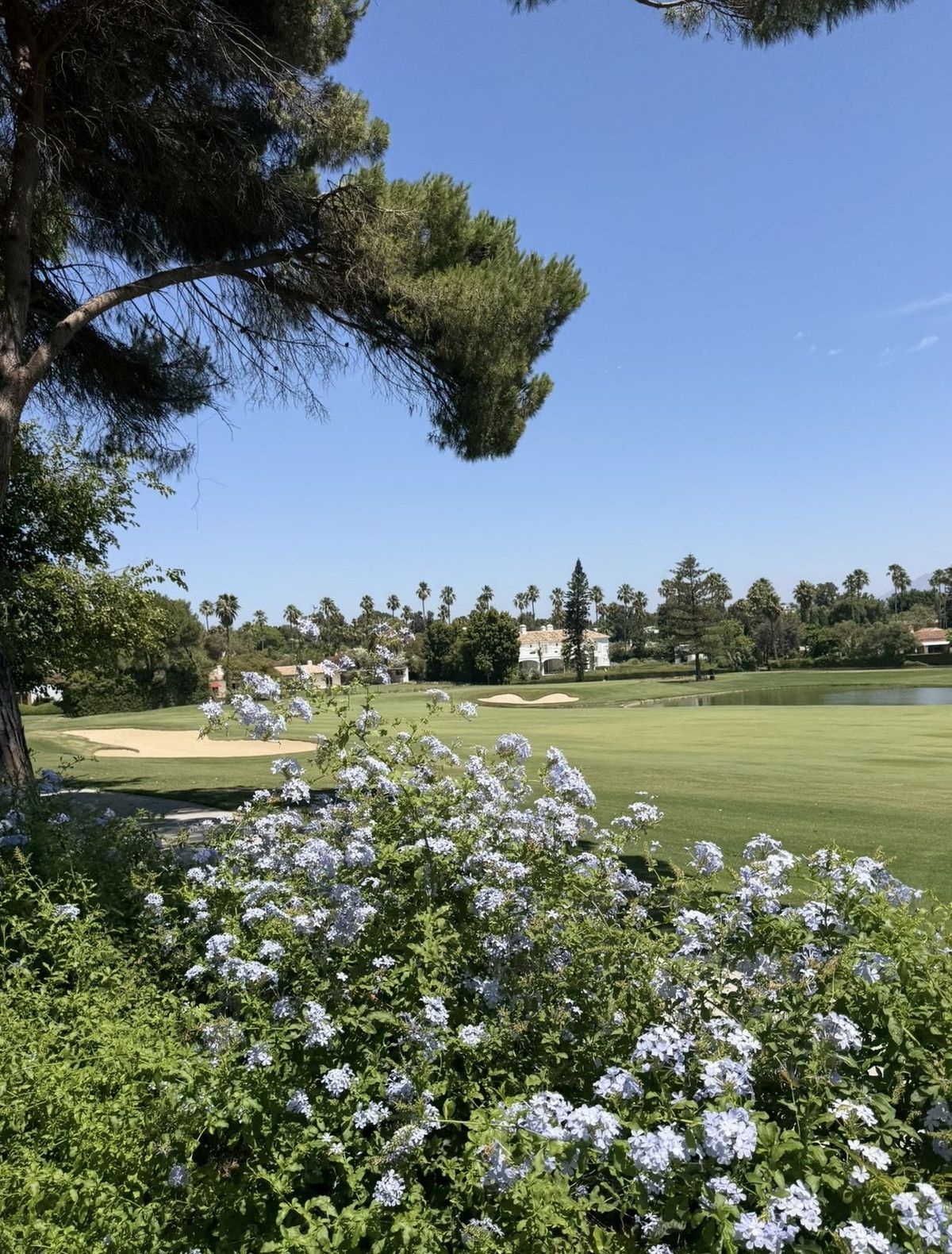 Detached Villa in Sotogrande Costa, Sotogrande Costa, 9/12