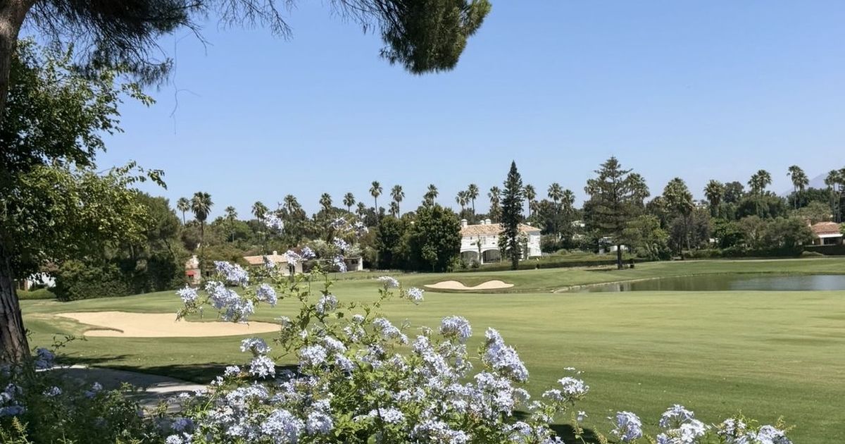 Detached Villa in Sotogrande Costa, Sotogrande Costa, 9/12