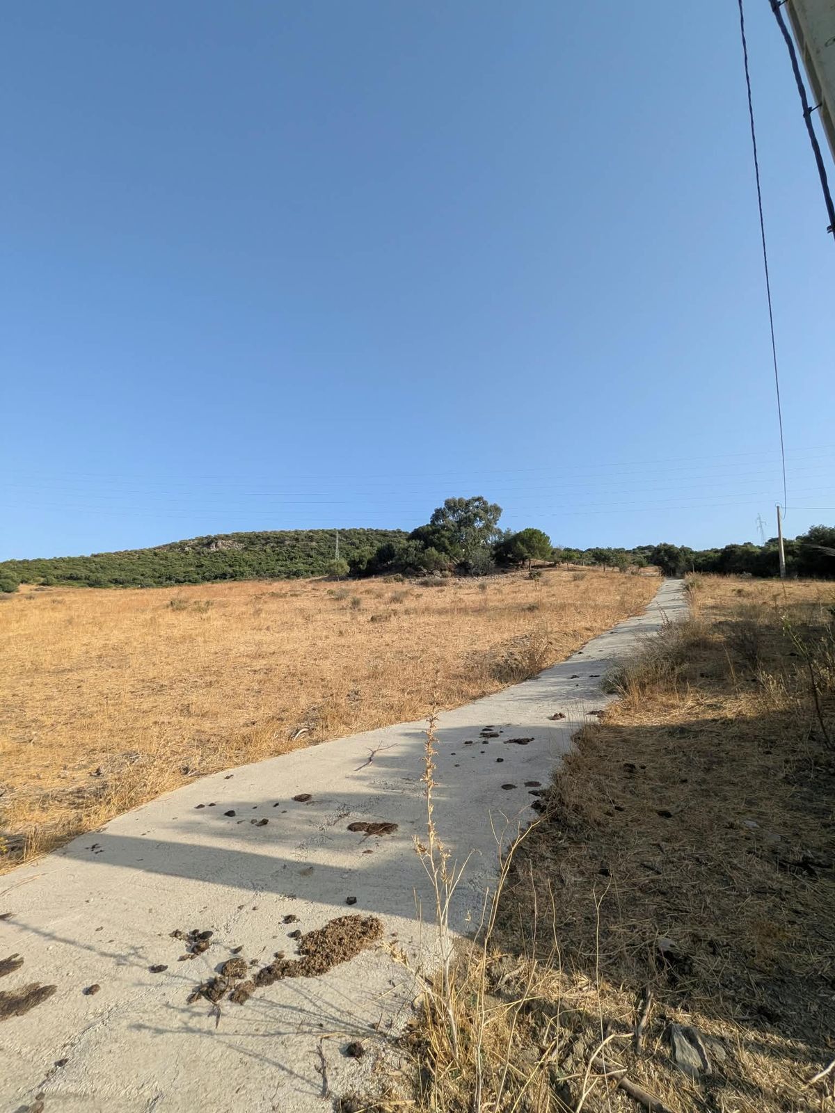 Land in Casares, Casares, 1/12