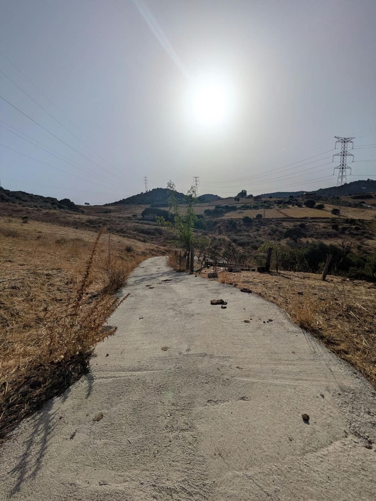 Land in Casares, Casares, 11/12