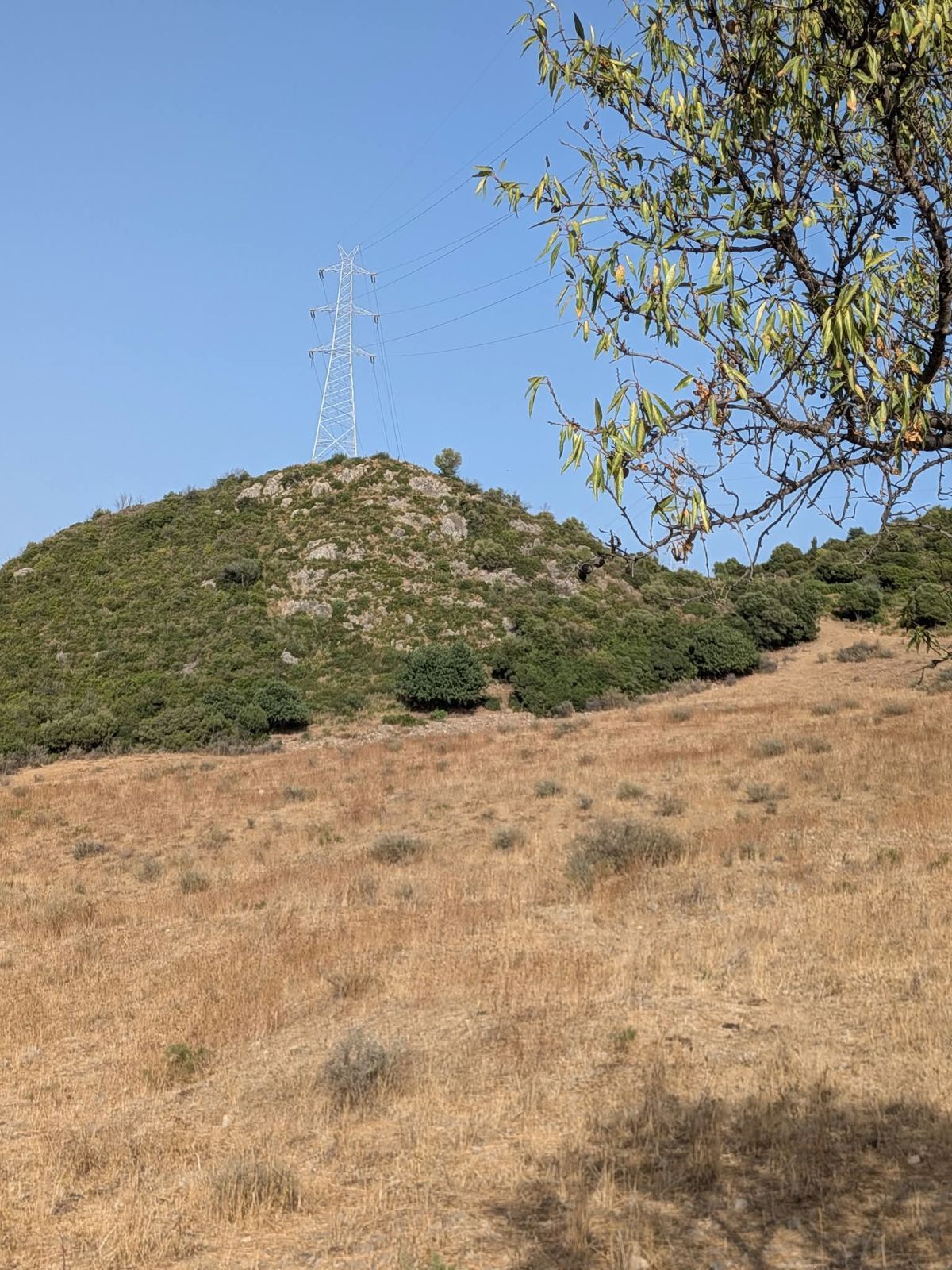 Land in Casares, Casares, 4/12