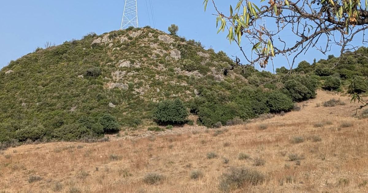 Land in Casares, Casares, 4/12