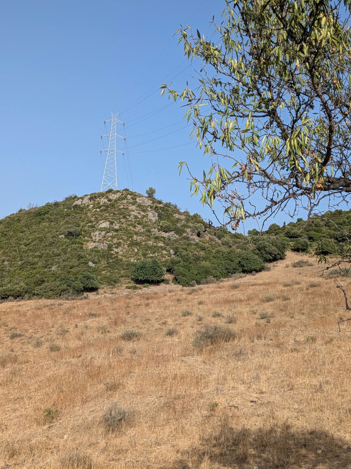 Land in Casares, Casares, 5/12