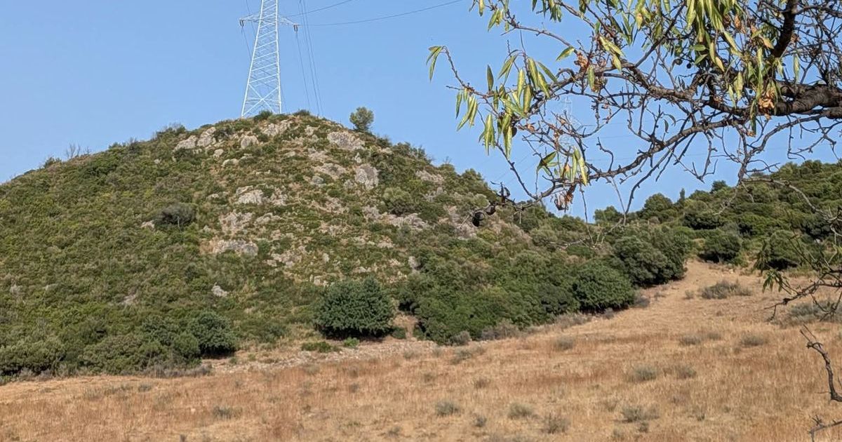 Land in Casares, Casares, 5/12